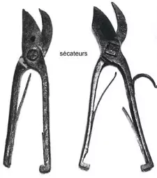 secateurs