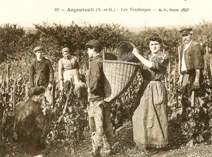 vendanges-2